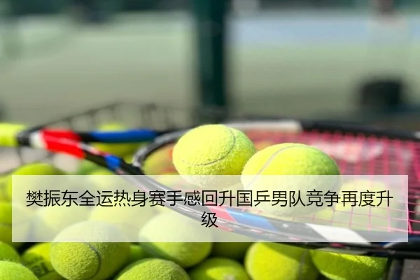 樊振东全运热身赛手感回升国乒男队竞争再度升级